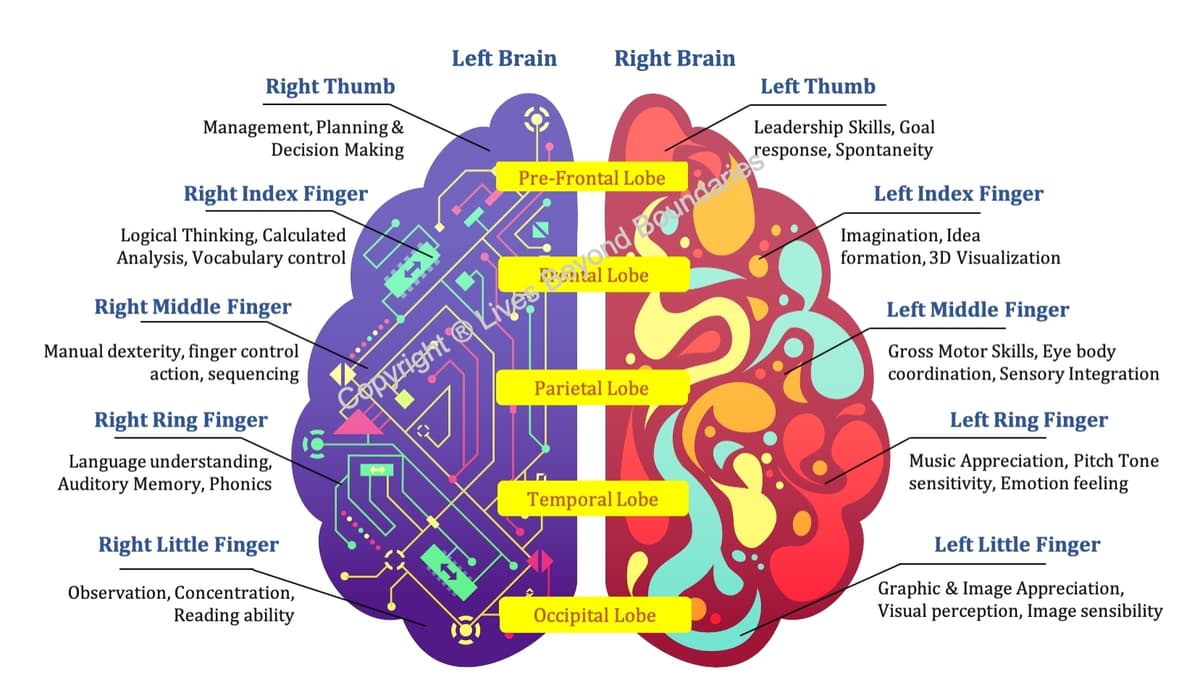 Fingerprint Brain Connection