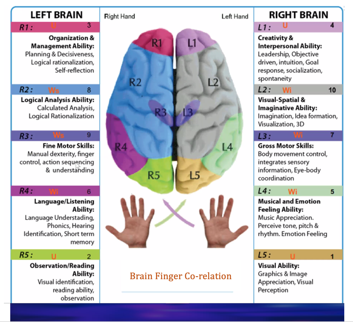 Brain Fingerprint Co-relation