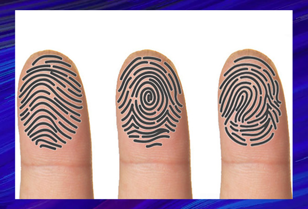 LEVEL 4: Fingerprints & its functions, application & interpretation