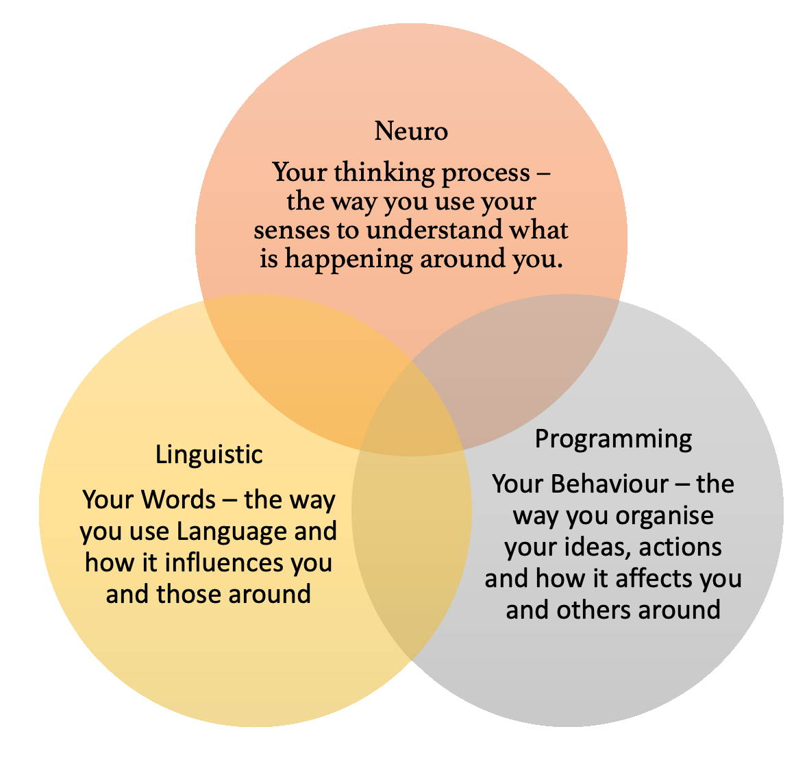 Neuro-linguistic programming diagram